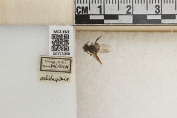 Media type: image;   Entomology 773060 Aspect: Labels